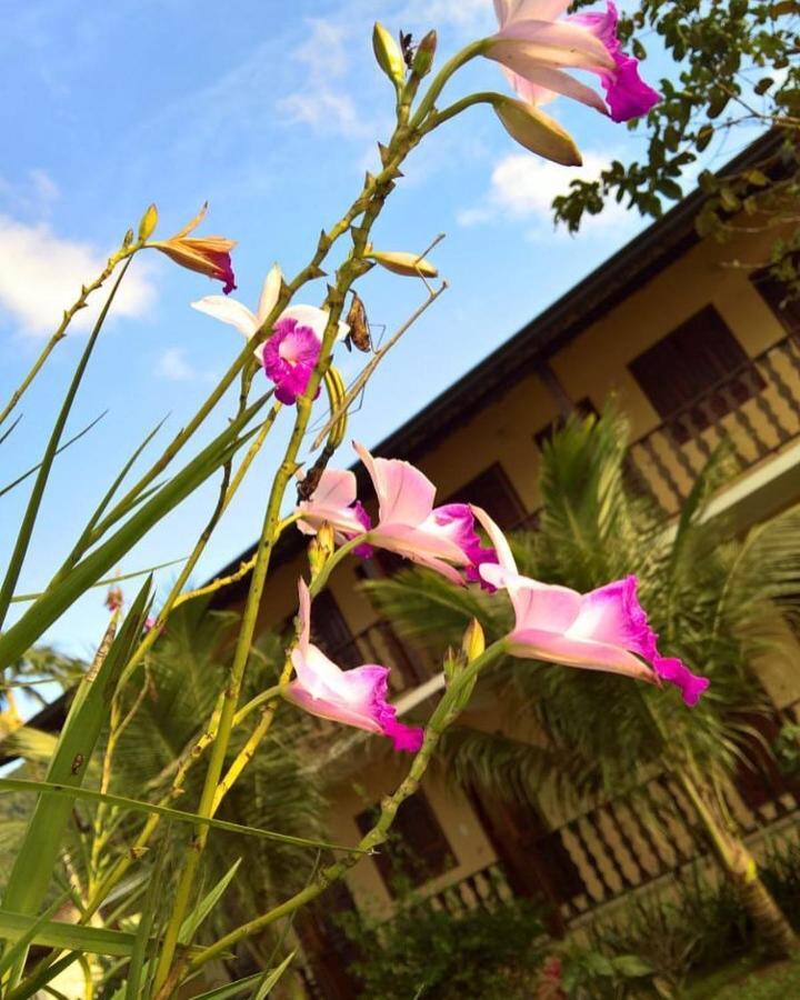 Pouso Bom Retiro Hotel ปาราตี ภายนอก รูปภาพ